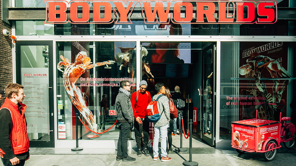 New things to see and do in London: Body Worlds exhibition